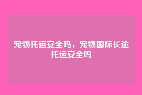 宠物托运安全吗，宠物国际长途托运安全吗