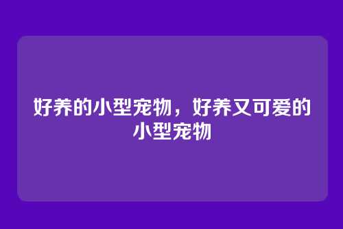 好养的小型宠物，好养又可爱的小型宠物