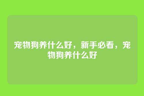 宠物狗养什么好,新手必看,宠物狗养什么好