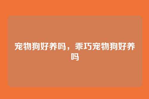 宠物狗好养吗，乖巧宠物狗好养吗