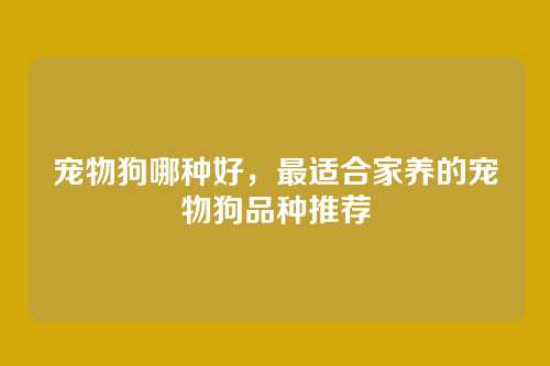 宠物狗哪种好，最适合家养的宠物狗品种推荐