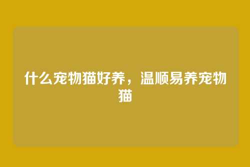 什么宠物猫好养，温顺易养宠物猫