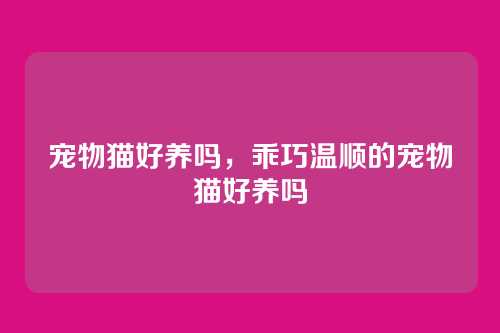宠物猫好养吗,乖巧温顺的宠物猫好养吗