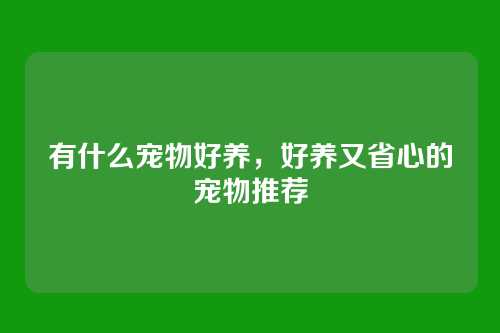 有什么宠物好养,好养又省心的宠物推荐