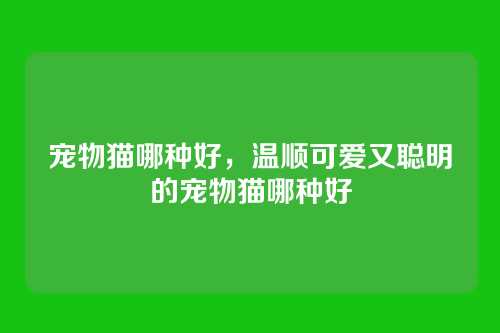 宠物猫哪种好，温顺可爱又聪明的宠物猫哪种好