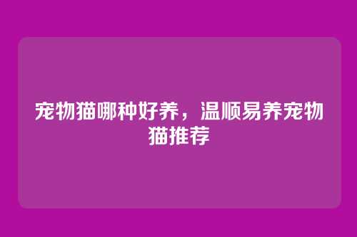 宠物猫哪种好养,温顺易养宠物猫推荐