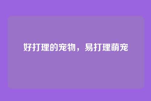 好打理的宠物,易打理萌宠