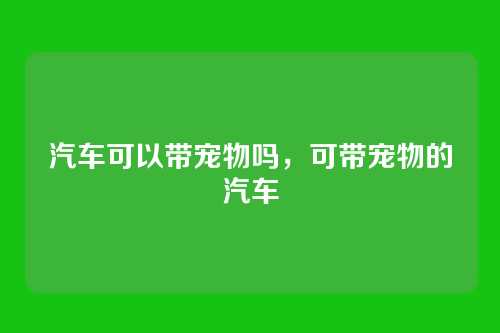 汽车可以带宠物吗,可带宠物的汽车