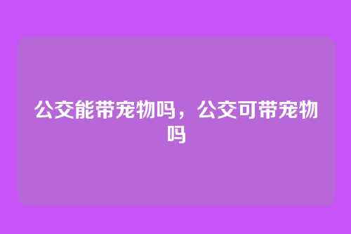 公交能带宠物吗,公交可带宠物吗