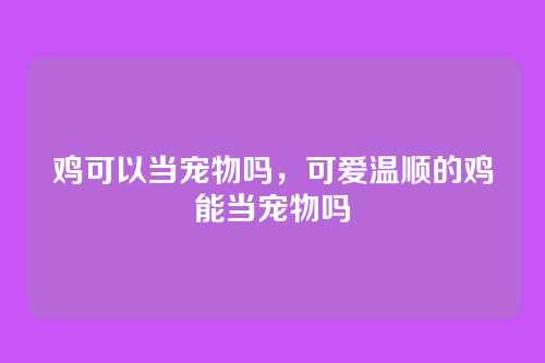 鸡可以当宠物吗,可爱温顺的鸡能当宠物吗