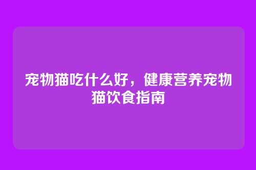 宠物猫吃什么好,健康营养宠物猫饮食指南