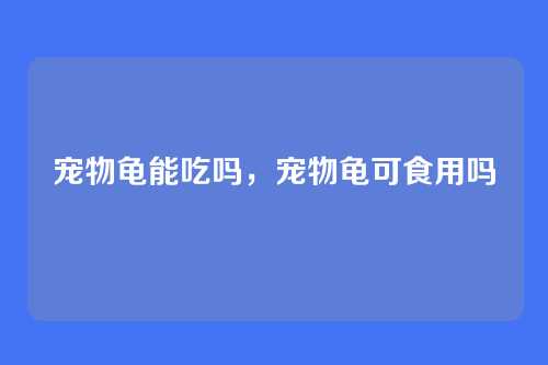 宠物龟能吃吗,宠物龟可食用吗