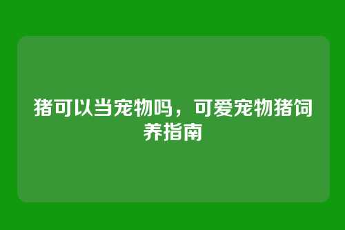 猪可以当宠物吗，可爱宠物猪饲养指南