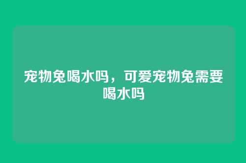 宠物兔喝水吗，可爱宠物兔需要喝水吗