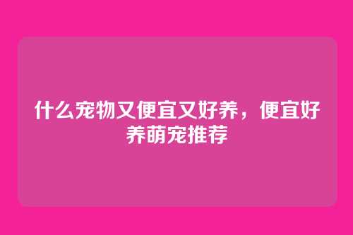什么宠物又便宜又好养,便宜好养萌宠推荐