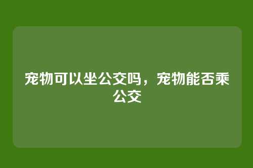 宠物可以坐公交吗，宠物能否乘公交