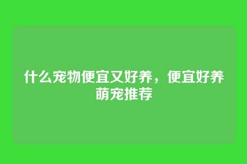 什么宠物便宜又好养，便宜好养萌宠推荐