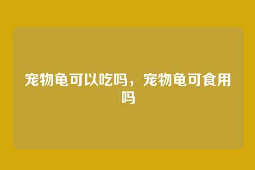 宠物龟可以吃吗，宠物龟可食用吗
