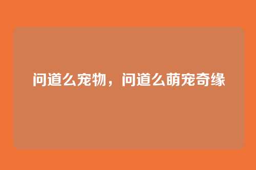 问道么宠物，问道么萌宠奇缘
