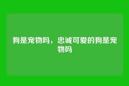 狗是宠物吗，忠诚可爱的狗是宠物吗