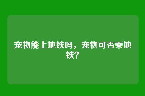 宠物能上地铁吗，宠物可否乘地铁？