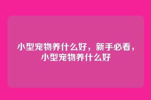 小型宠物养什么好，新手必看，小型宠物养什么好