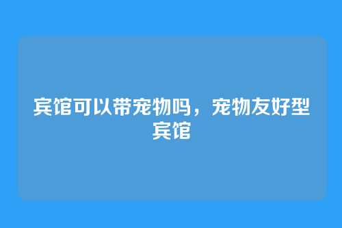 宾馆可以带宠物吗,宠物友好型宾馆