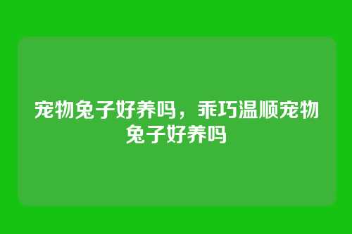 宠物兔子好养吗，乖巧温顺宠物兔子好养吗