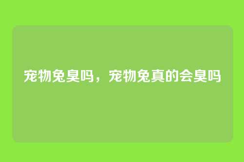 宠物兔臭吗，宠物兔真的会臭吗