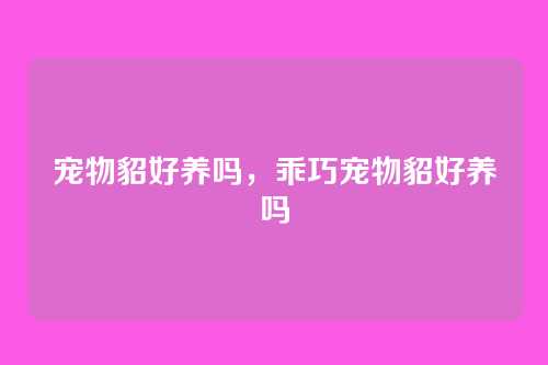 宠物貂好养吗，乖巧宠物貂好养吗