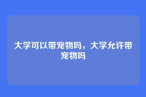 大学可以带宠物吗,大学允许带宠物吗