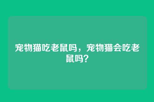 宠物猫吃老鼠吗,宠物猫会吃老鼠吗?