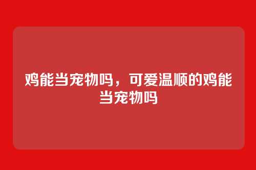 鸡能当宠物吗,可爱温顺的鸡能当宠物吗