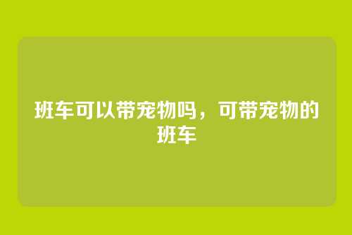 班车可以带宠物吗,可带宠物的班车