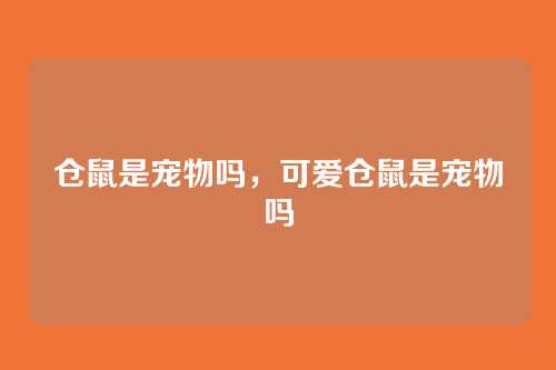 仓鼠是宠物吗,可爱仓鼠是宠物吗