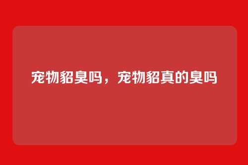 宠物貂臭吗,宠物貂真的臭吗