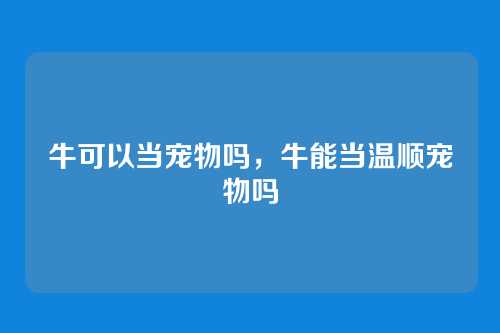 牛可以当宠物吗，牛能当温顺宠物吗