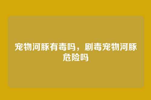宠物河豚有毒吗,剧毒宠物河豚危险吗