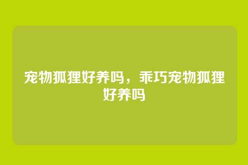宠物狐狸好养吗，乖巧宠物狐狸好养吗