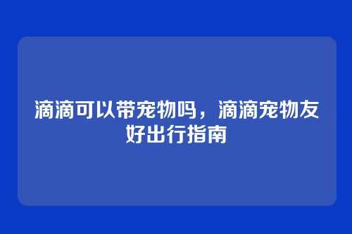 滴滴可以带宠物吗,滴滴宠物友好出行指南
