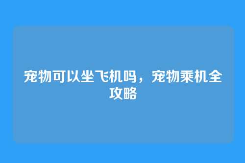 宠物可以坐飞机吗,宠物乘机全攻略