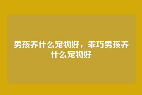 男孩养什么宠物好,乖巧男孩养什么宠物好