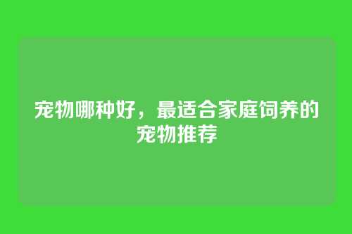 宠物哪种好,最适合家庭饲养的宠物推荐