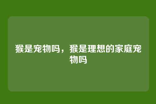 猴是宠物吗,猴是理想的家庭宠物吗