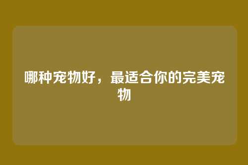 哪种宠物好,最适合你的完美宠物