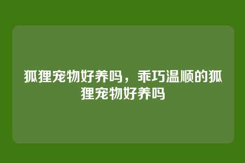 狐狸宠物好养吗,乖巧温顺的狐狸宠物好养吗