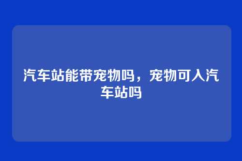 汽车站能带宠物吗,宠物可入汽车站吗
