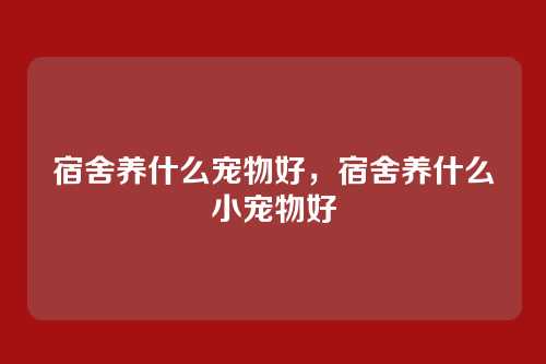 宿舍养什么宠物好,宿舍养什么小宠物好