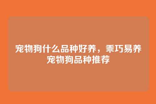 宠物狗什么品种好养，乖巧易养宠物狗品种推荐