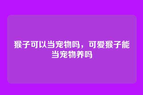 猴子可以当宠物吗,可爱猴子能当宠物养吗